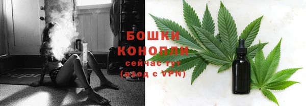 твердый Няндома