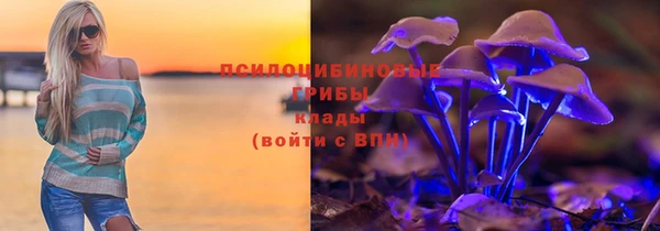 трава Осинники
