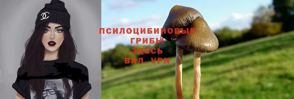 прущие грибы Осташков