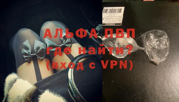 прущие грибы Осташков