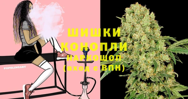 прущие грибы Осташков