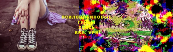 твердый Няндома