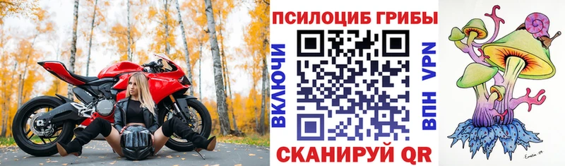 Псилоцибиновые грибы прущие грибы  МЕГА ТОР  Печора 