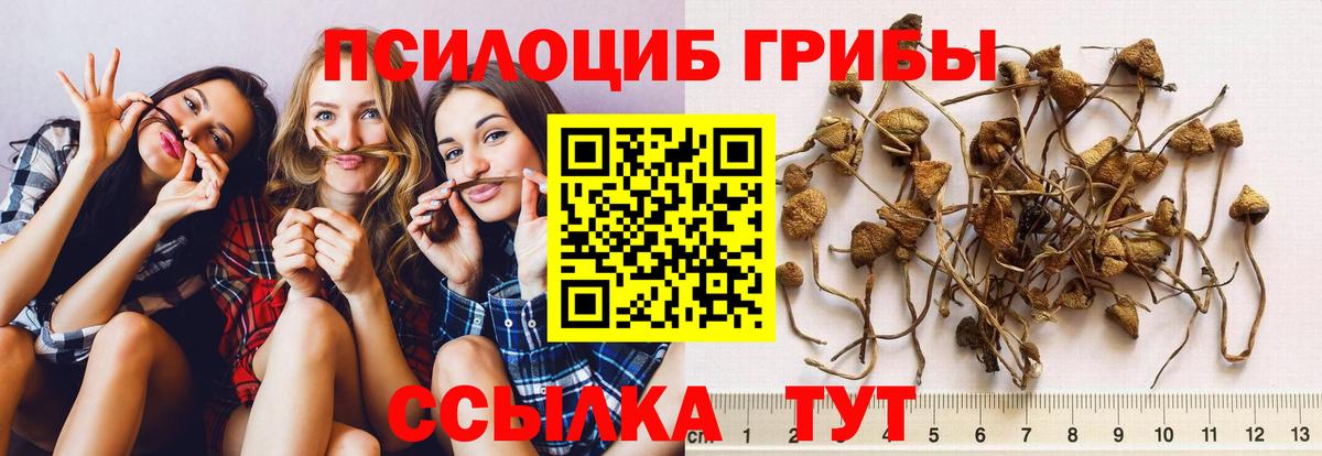 Псилоцибиновые грибы MAGIC MUSHROOMS  Вход с VPN  Галлюциногенные грибы Magic Shrooms  Печора 