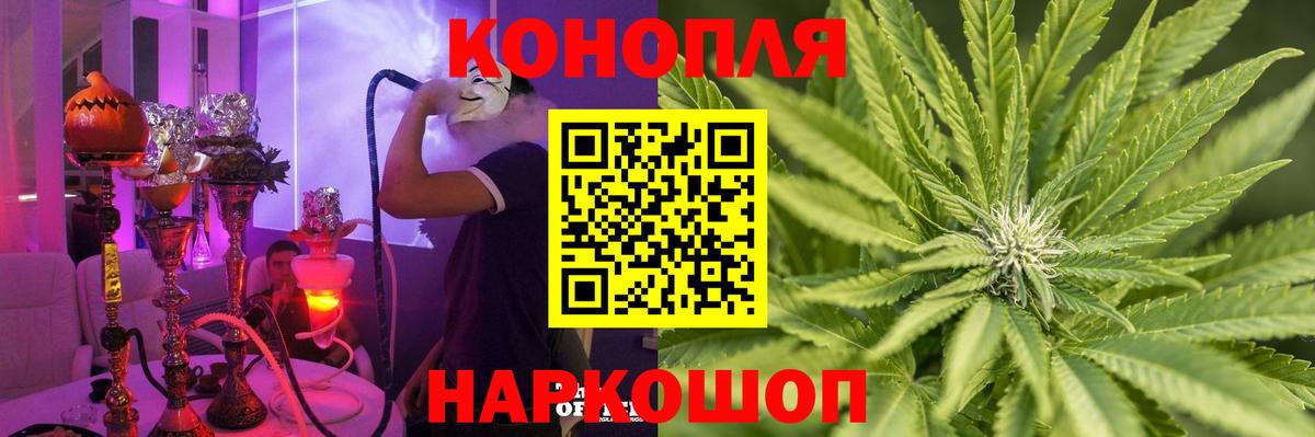 Печора  Марихуана тримм  Марихуана White Widow  Каннабис планчик  Бошки марихуана марихуана  Вход с VPN 